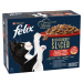 Felix Deliciously Sliced domácí výběr v aspiku 12 x 80 g