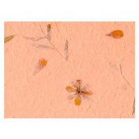 Umělecká fotografie Mulberry paper background, kuarmungadd, (40 x 30 cm)