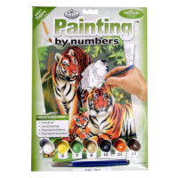 Malování podle čísel 22x30cm Tygři