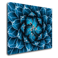 Impresi Obraz Modrý květ - 90 x 70 cm