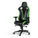 Noblechairs EPIC Sprout Edition, černá/zelená