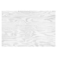 Umělecká fotografie White plywood texture background., prapann, (40 x 26.7 cm)