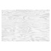 Fotografie White plywood texture background., prapann, (40 x 26.7 cm)