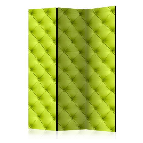 Paraván Lime detente Dekorhome Artgeist