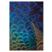 Dekoria Obraz na plátně Multicolor Feathers, 70 x 100 cm