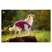 Vsepropejska Tabs bunda pro psa Barva: Růžová, Délka zad (cm): 25, Obvod hrudníku: 32 - 34 cm