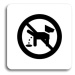Accept Piktogram "zákaz venčení zvířat" (80 × 80 mm) (bílá tabulka - černý tisk bez rámečku)