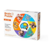 Recent Toys Brain Puzzle - sada 6 kusů