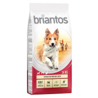 Briantos, 14 kg - 10 % sleva - Adult kuřecí s rýží (14 kg)