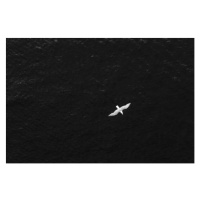 Fotografie High angle POV of bird flying over the ocean, Gabriel Mello, 40 × 26.7 cm