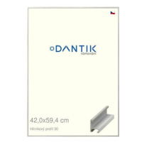 DANTIK rámeček 42 × 59,4, ALU profil 6030 Dýha barevný šedý světlý plexi čiré