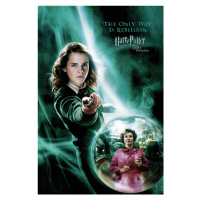 Umělecký tisk Harry Potter - Hermione Granger, 26.7 × 40 cm