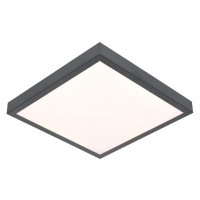 LED Stropní svítidlo VITALI LED/24W/230V