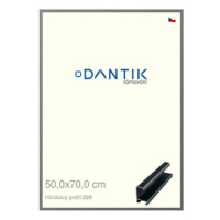 DANTIK rámeček 50 × 70, ALU profil 7269 Platina matný plexi čiré