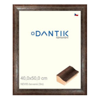 DANTIK rámeček 40 × 50, NEVIS červený sklo čiré