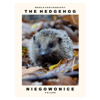 Fotografie The Hedgehog (Niegowonice, Poland), 30 × 40 cm