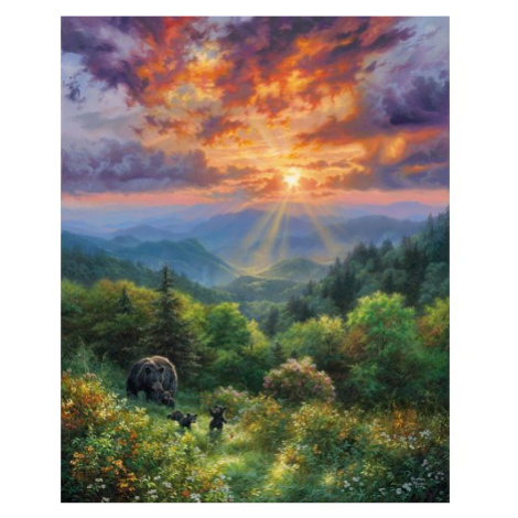 Figured ART Malování podle čísel - MEDVĚD A ZÁPAD SLUNCE  na rámu 40 x 50 cm