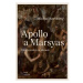 Apollo a Marsyas - Příběh umění na Moravě