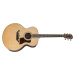 Taylor Legacy 815e