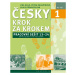 Česky krok za krokem 1. - Pracovní sešit Lekce 13–24 - Lída Holá, Petra Bulejčíková, Silvie Přev