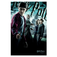 Umělecký tisk Harry Potter - Princ dvojí krve, 26.7x40 cm