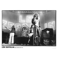 Plakát, Obraz - Led Zeppelin - Earls Court May 1975, 59.4 × 84.1 cm