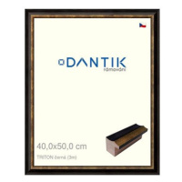 DANTIK rámeček 40 × 50, TRITON černý plexi čiré