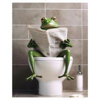 Obrazy na stěnu - Žába s novinami na záchodě Rozměr: 40x50 cm, Rámování: vypnuté plátno na rám