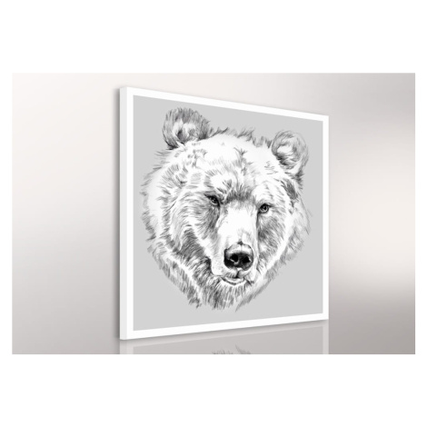 Obraz na plátně BEAR A různé rozměry Ludesign ludesign obrazy: 60x60 cm