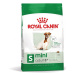 Royal Canin Mini Adult +8 8kg