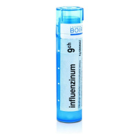 BOIRON Influenzinum CH9 4 g