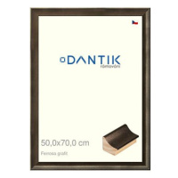 DANTIK rámeček 50 × 70, Ferrosa grafit plexi čiré