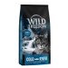 Wild Freedom Adult "Cold River" - losos bez obilovin - 2 x 6,5 kg