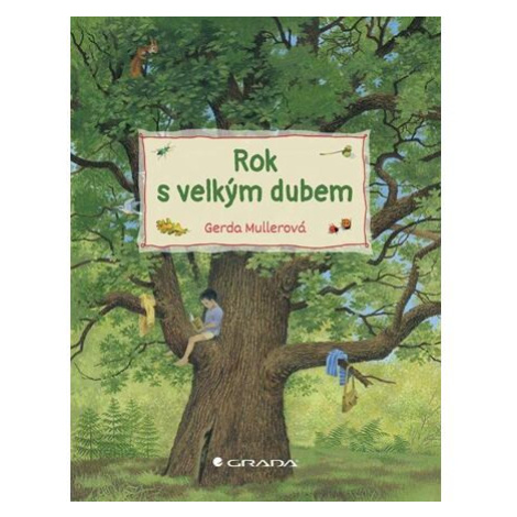 Rok s velkým dubem bambook