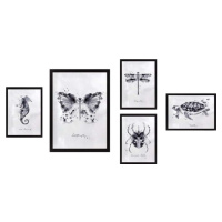 Obrazy v sadě 5 ks Butterfly – Wallity
