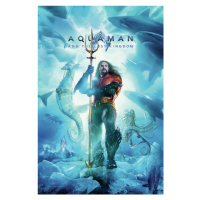 Umělecký tisk Aquaman and the Lost Kingdom - King, (26.7 x 40 cm)