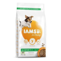 Iams Dog Adult Small&Medium Lamb 3kg