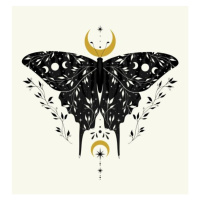 Fotografie Vector illustration with black butterfly and, Lyubov Ovsyannikova, 40 × 40 cm