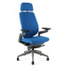 Office Pro Karme Barva: modrá