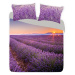 Gipetex Natural Dream 3D italské povlečení 100% bavlna Lavanda - 140x220 / 70x90 cm