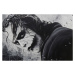 Plakát, Obraz - Dark Knight - Joker, (91.5 x 61 cm)
