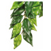 Dekorace Exo Terra Rostlina textil Ficus střední