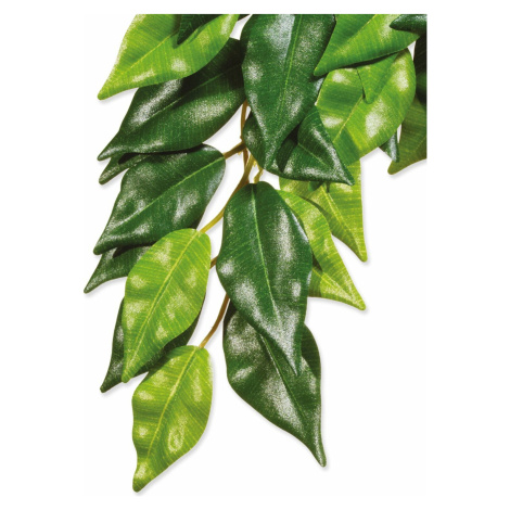 Dekorace Exo Terra Rostlina textil Ficus střední exoterra