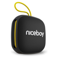 Niceboy RAZE Mini 4