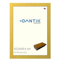 DANTIK rámeček 42 × 59,4, RETRO žlutý plexi čiré