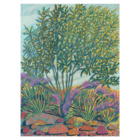 Ilustrace Green bush, Eleanor Baker, (30 x 40 cm)