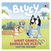 Bluey: What Games Should We Play? (A Lift-the-Flap Book) - kniha z kategorie Pohádky