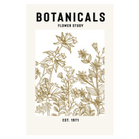 Ilustrace Botanicals Flower Study Ii, jay stanley, (26.7 x 40 cm)