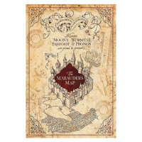 Plakát Harry Potter - Maurauder's Map (29)