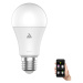 Eglo LED Stmívatelná žárovka CONNECT E27/9W 3000K Bluetooth - Eglo 11684